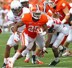 roderick mcdowell clemson