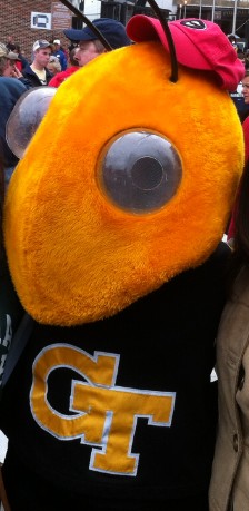 buzz with georgia hat